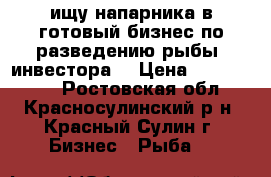 ищу напарника в готовый бизнес по разведению рыбы. инвестора. › Цена ­ 2 000 000 - Ростовская обл., Красносулинский р-н, Красный Сулин г. Бизнес » Рыба   